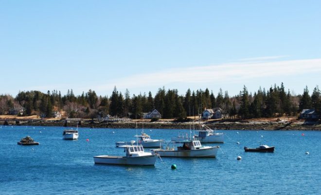 Perfect spring afternoon in Tenants Harbor.