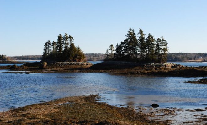 The wild coastal landscape that blankets so much of Washington county is evident in Steuben's winding and rocky shores.