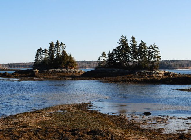The wild coastal landscape that blankets so much of Washington county is evident in Steuben's winding and rocky shores.