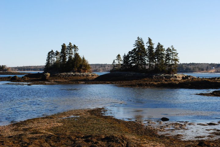 The wild coastal landscape that blankets so much of Washington county is evident in Steuben's winding and rocky shores.