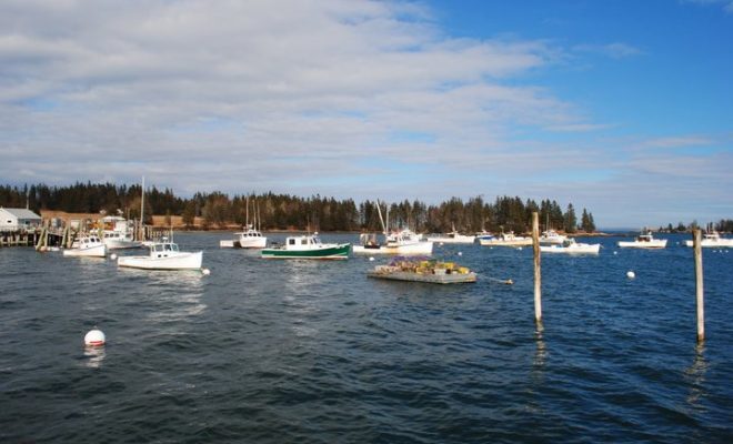 A beautiful April afternoon in Owls Head.