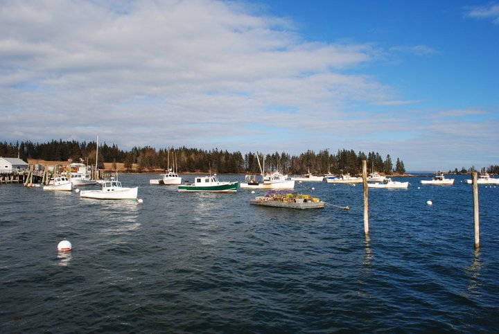 A beautiful April afternoon in Owls Head.