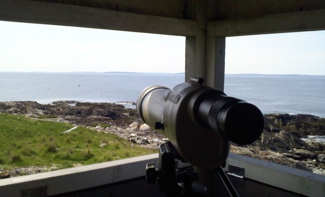 Inside the blind on Metinic Island, using a scope to read bands. Inside the blind on Metinic Island, using a scope to read bands.