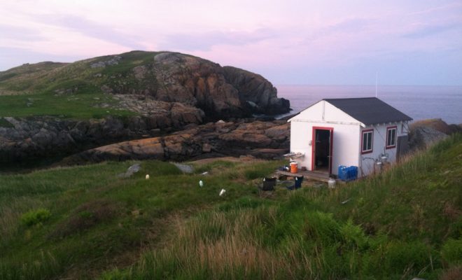 Home sweet home on Eastern and Western Brother's Islands, the northernmost islands in the refuges.