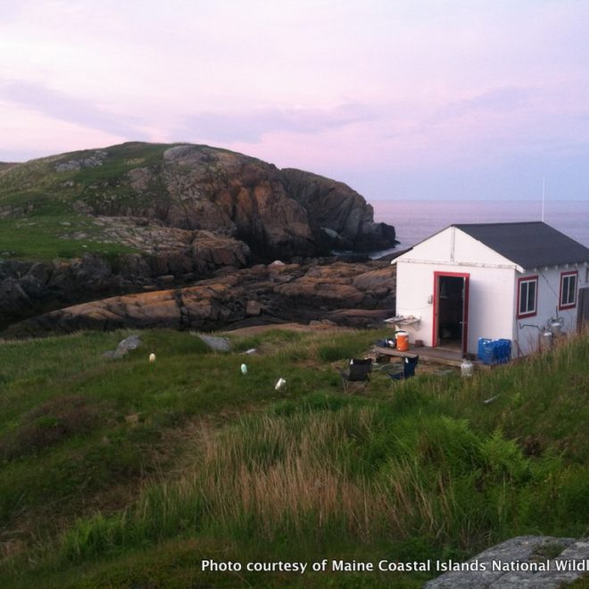 Home sweet home on Eastern and Western Brother's Islands, the northernmost islands in the refuges.