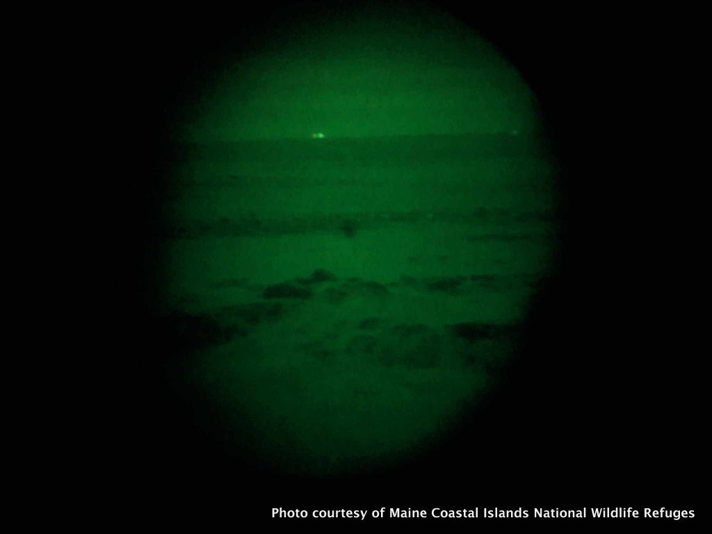 A look through the night vision binoculars on a cold island night.