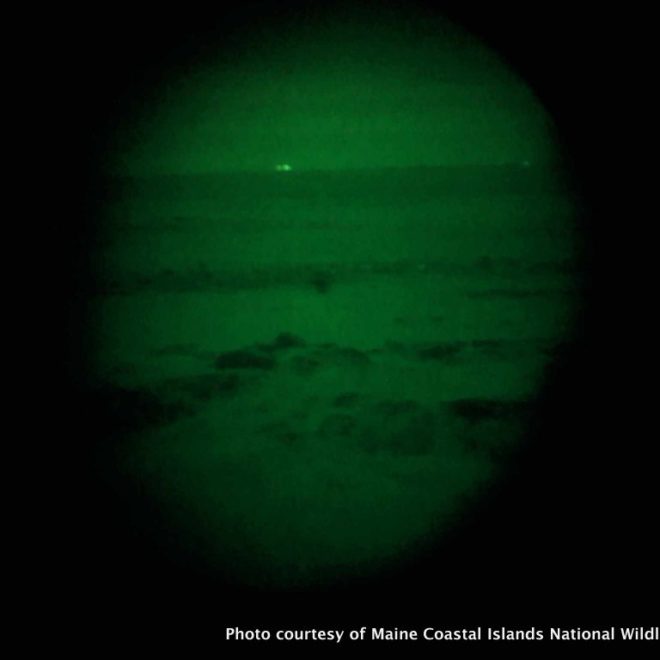 A look through the night vision binoculars on a cold island night.