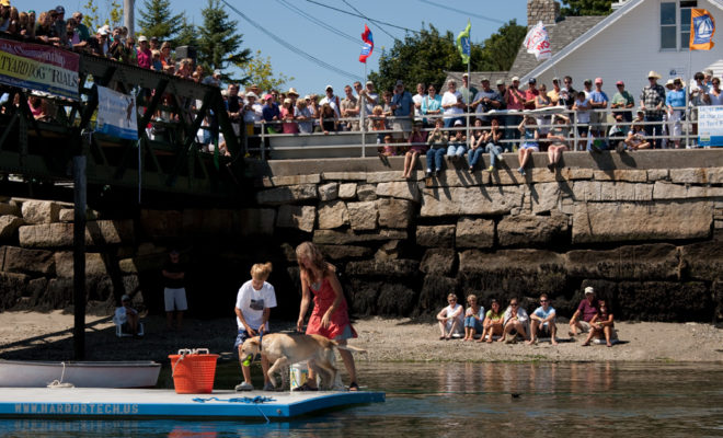 The trials are always a crowd-pleaser. Who does not love watching people get silly with their pets? Photo ¬©Jeff Scher.