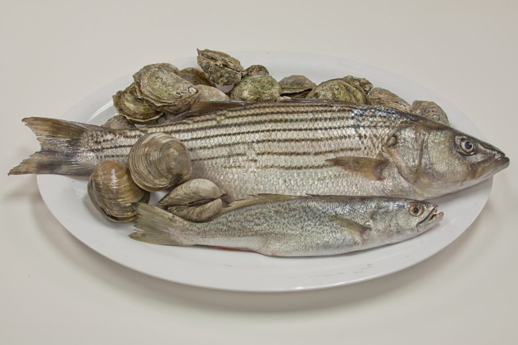 Oysters, clams, striped bass, and weak fish are just some seafood types local to Hampton Roads. ©Janet Krenn/VASG