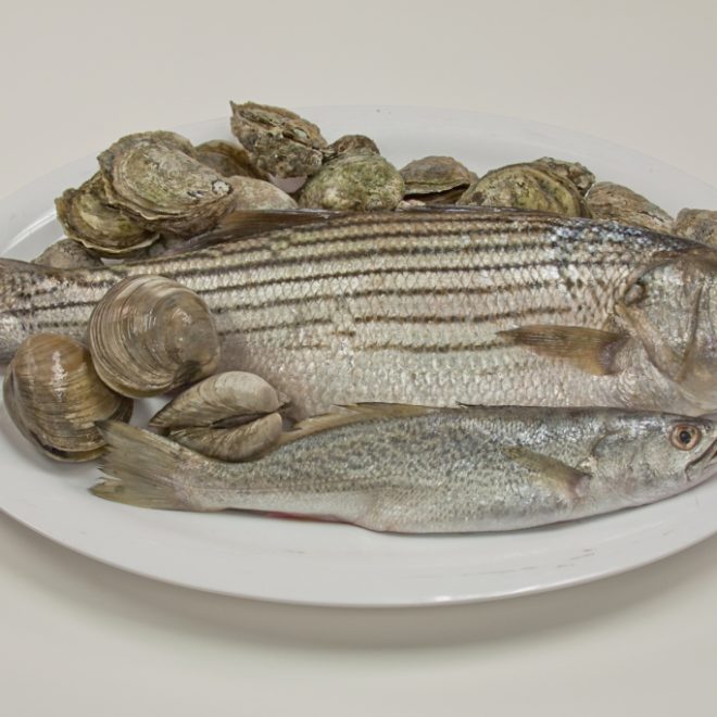 Oysters, clams, striped bass, and weak fish are just some seafood types local to Hampton Roads. ©Janet Krenn/VASG
