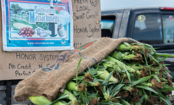 A small town's produce available by the honor system.