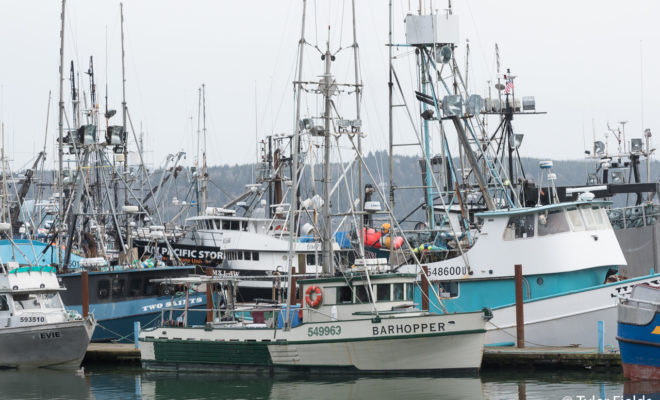 The Newport Commercial Fishing Fleet