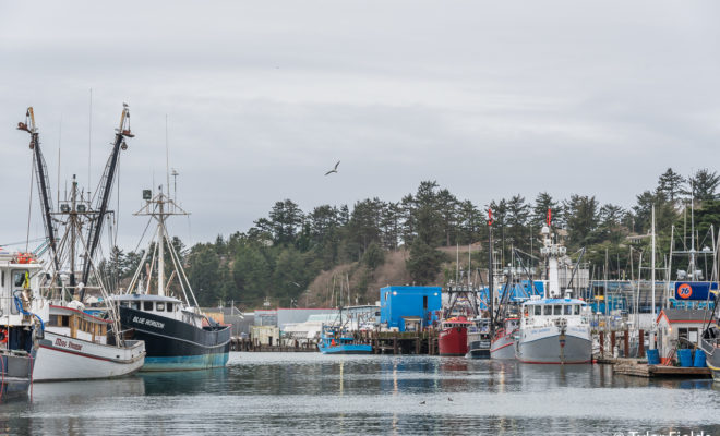The Newport Commercial Fishing Fleet