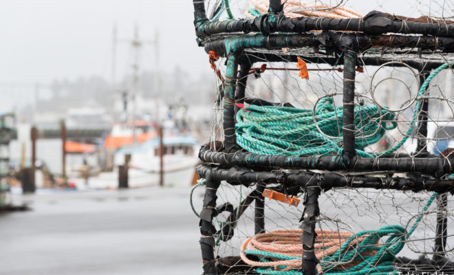 The Newport Commercial Fishing Fleet