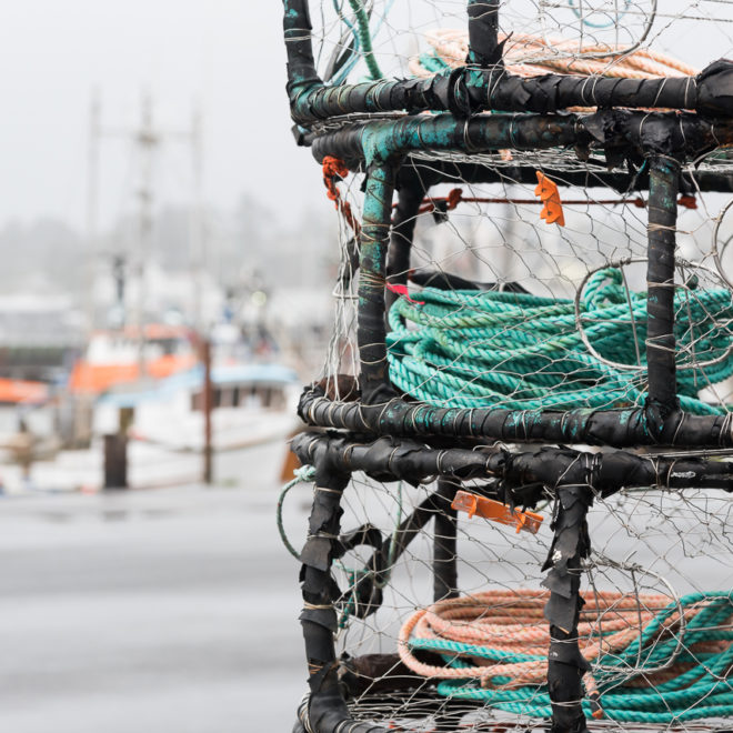 The Newport Commercial Fishing Fleet