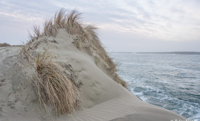 South Beach State Park