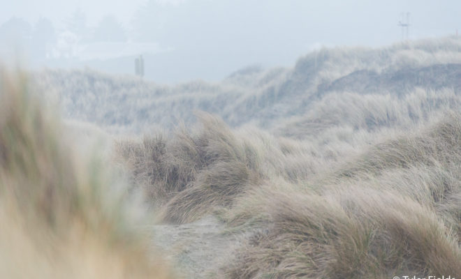 South Beach State Park