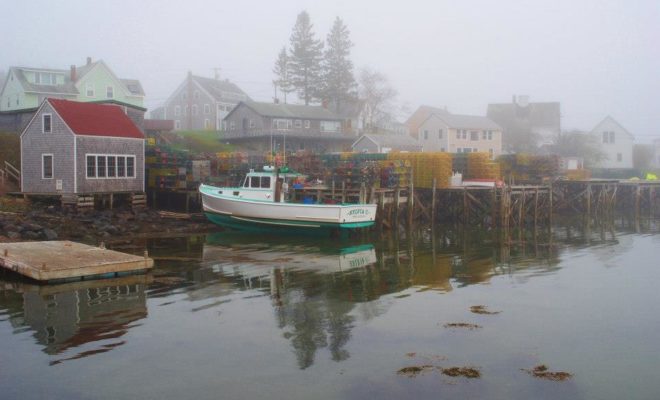 Port Clyde is gorgeous in all weather, but perhaps even more so in the fog.