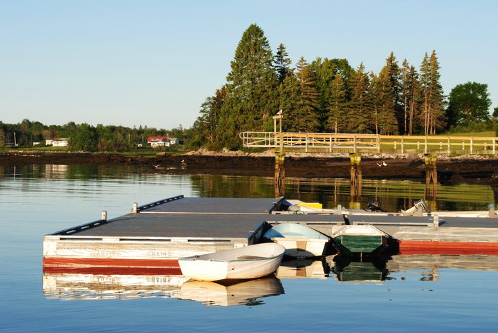 A breathless June morning in Tenants Harbor.