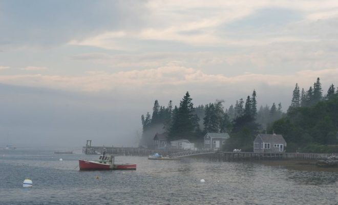 July fog rolls across Port Clyde Harbor.