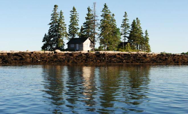 Stevens Island, which sits in the center of Mosquito Harbor.