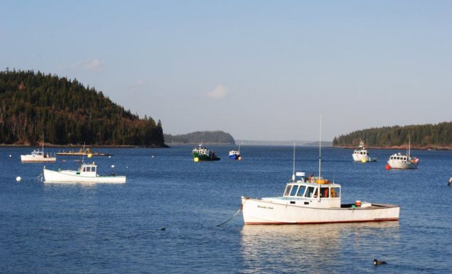 Buck's Harbor is a beautiful and wild place, where rocky islands guard the rough waters of Machias Bay.