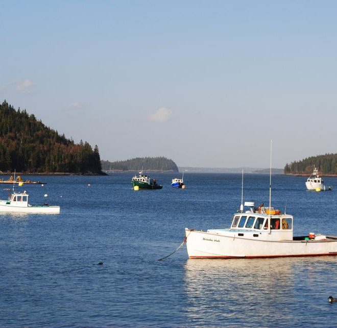 Buck's Harbor is a beautiful and wild place, where rocky islands guard the rough waters of Machias Bay.