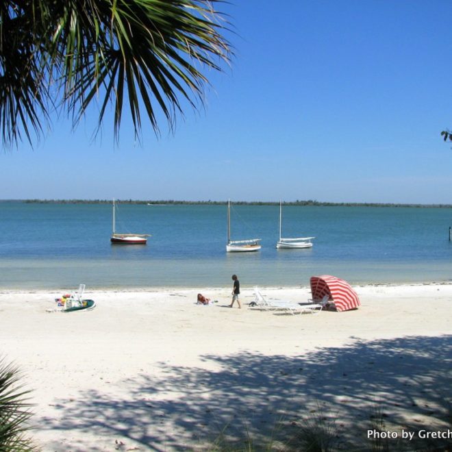 Beach on east side of island. Barron Collier had the sand barged decades ago from when he built the first road across Florida.