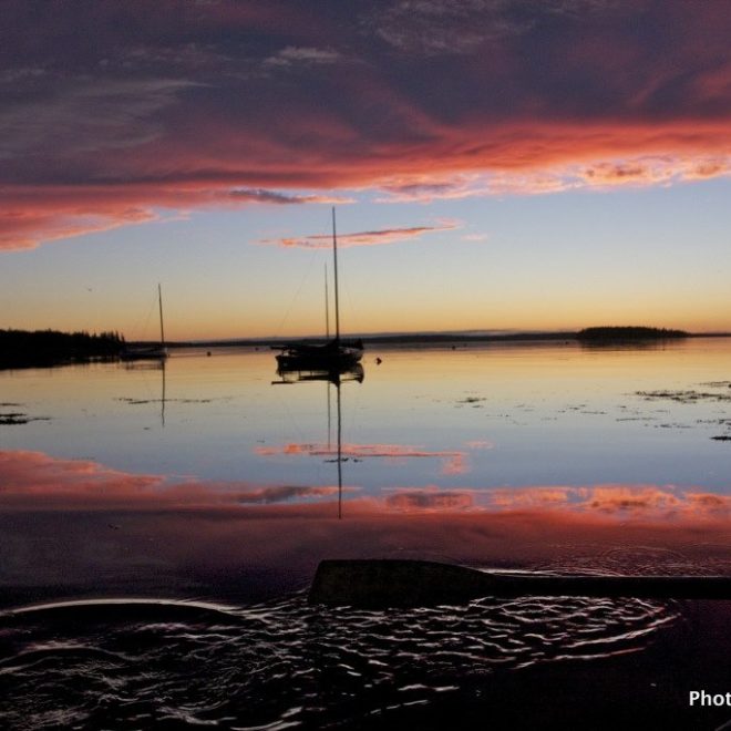 Without the noise of engines, the sounds of the natural world and noise of oar through water is almost deafening.