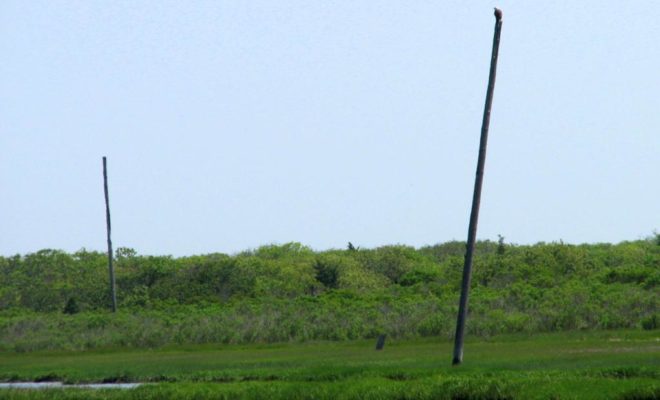 Only birds and old telegraph poles are left on Little Beach.  It is illegal to set foot on the island.