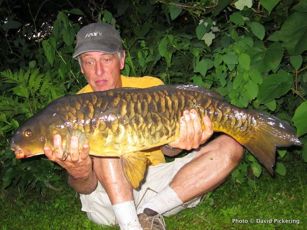 When saltwater fishing slows down, don't complain about it — head inland to land some sweet carp like this one!