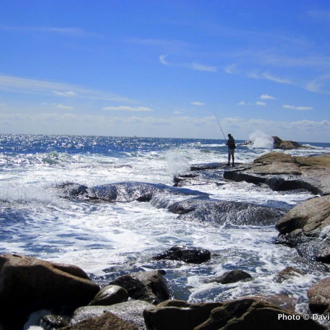 It seems that the stripers have taken to the rough water currently pummeling the RI shoreline.