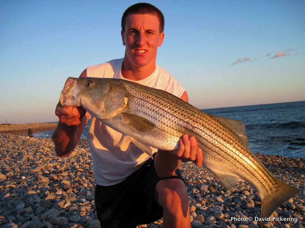 September 2012 An Epic Month for RI Fishing US Harbors