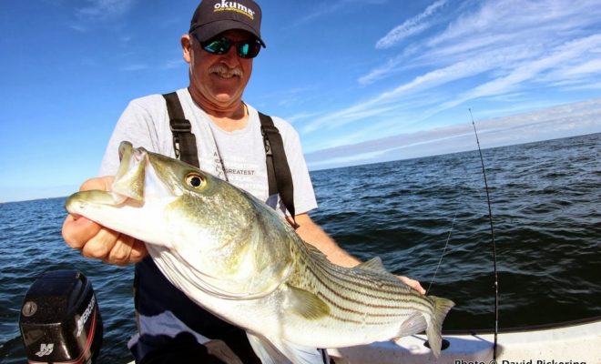 Bait, birds and stripers still all seem to be all hanging way out and well out of range of surfcasters — except at night!