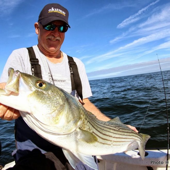 Bait, birds and stripers still all seem to be all hanging way out and well out of range of surfcasters — except at night!