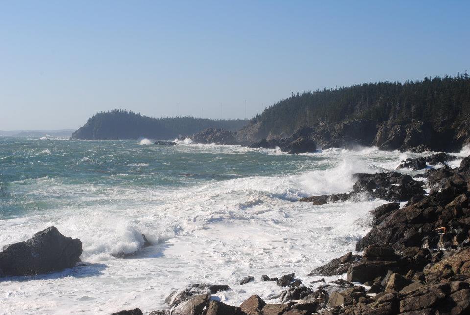There seem to be no boundaries between the rugged shores of Cutler and the foaming seas of the Atlantic Ocean.