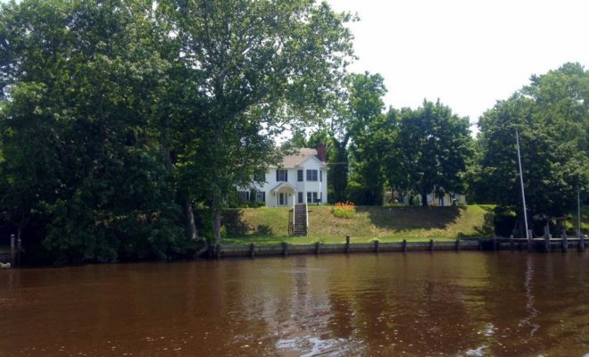 Brackish, tea-colored water of the Mullica River.