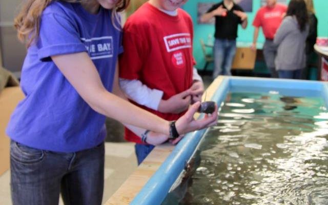 Exploring the natural world, one sea urchin at a time, at the new South Coast Center in Westerly.