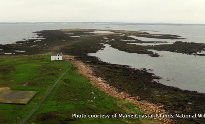 View from the top of the Petit Manan lighthouse of the boathouse and Green Island in the distance.