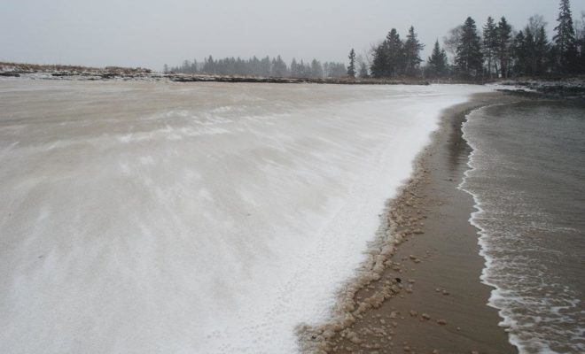 The first of March brought a fresh batch of snow to the shores of Ripley Neck in Harrington.