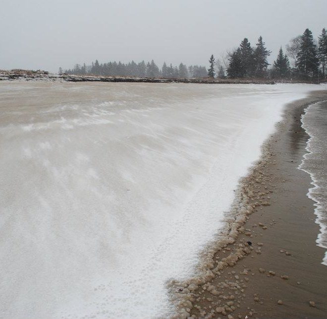 The first of March brought a fresh batch of snow to the shores of Ripley Neck in Harrington.