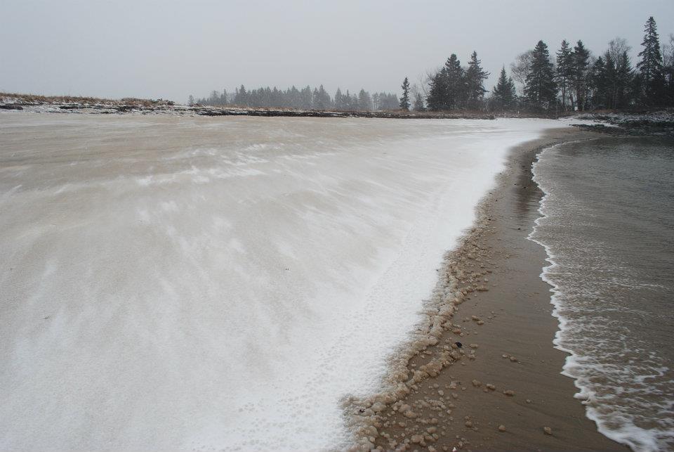 The first of March brought a fresh batch of snow to the shores of Ripley Neck in Harrington.