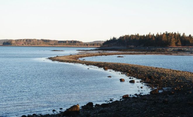 Washington County's immense tides allow for narrow passages across the water, like this one that I took to reach Shoppee Island.