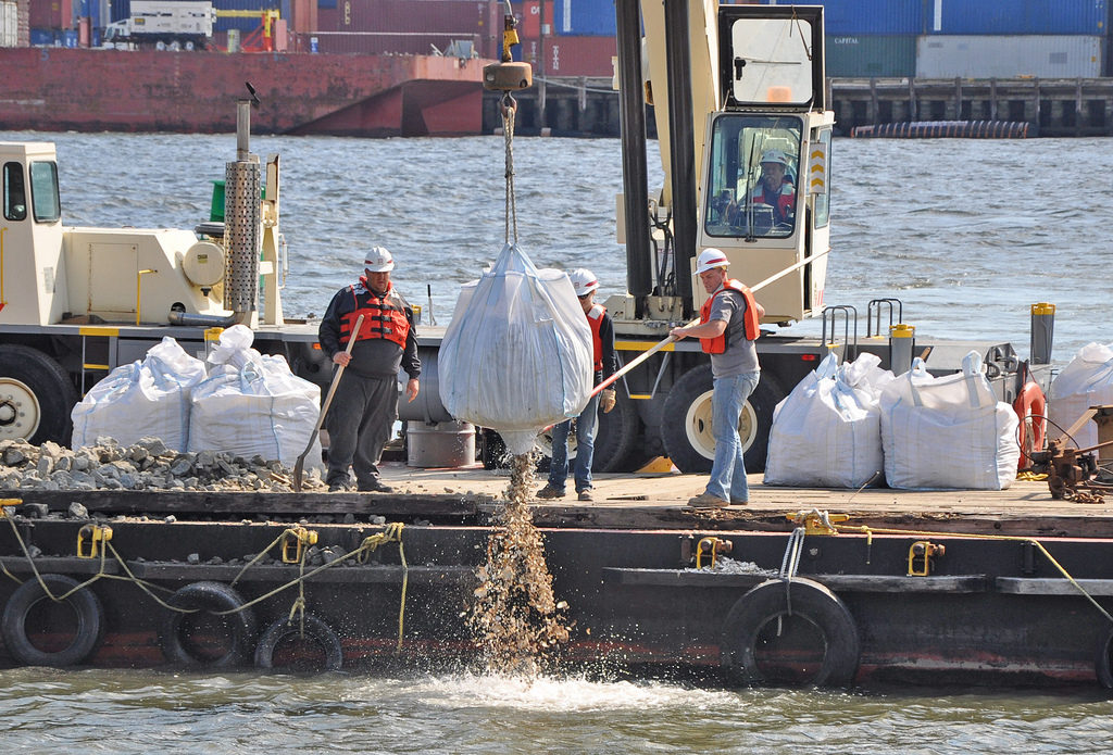 The Billion Oyster Project returning oyster shells back into New York Harbor