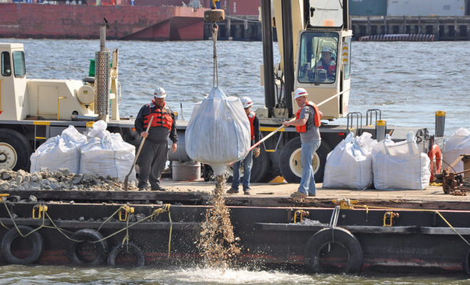 The Billion Oyster Project returning oyster shells back into New York Harbor
