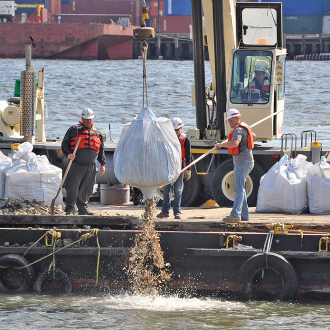 The Billion Oyster Project returning oyster shells back into New York Harbor