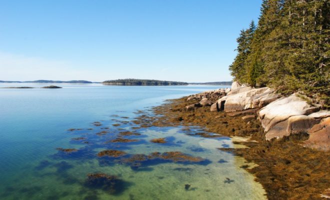 The pristine shores of Western Cove in the village of Sunshine. Sheep and Little Sheep islands sit in the distance.