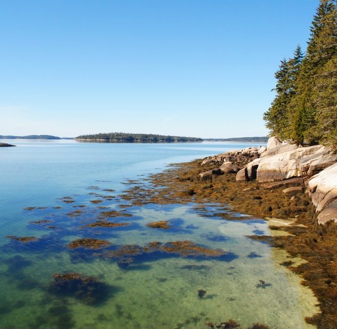The pristine shores of Western Cove in the village of Sunshine. Sheep and Little Sheep islands sit in the distance.