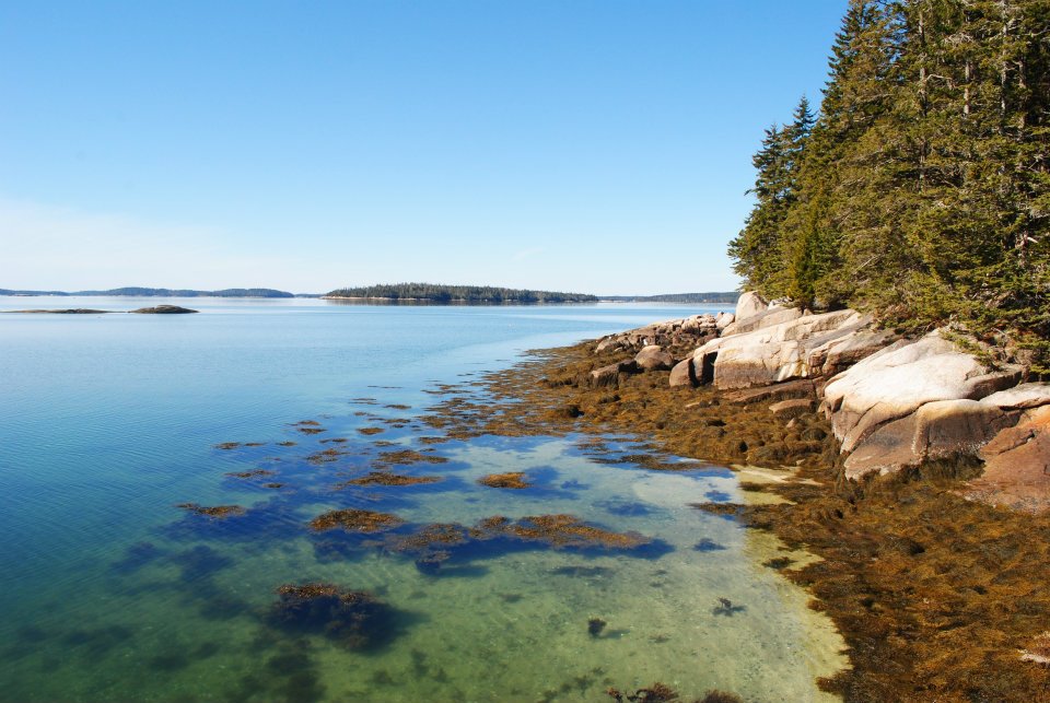 The pristine shores of Western Cove in the village of Sunshine. Sheep and Little Sheep islands sit in the distance.