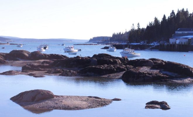 Low tide in Stonington Harbor.